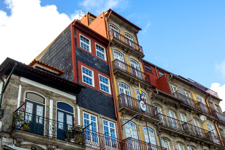 River SightSeeing + World of Discoveries + Burmester´s Cellars