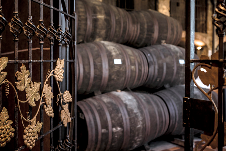 River SightSeeing + Burmester´s Cellar